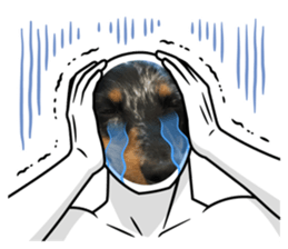 630155520