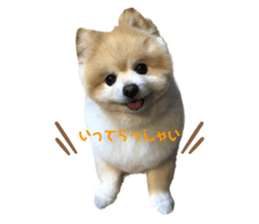 630159894
