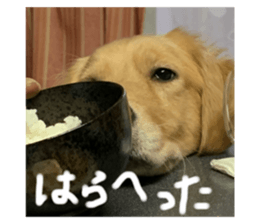 630189144