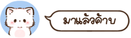 630297437