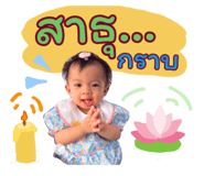 630361024