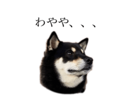 630400104