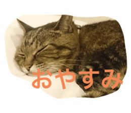 630470996