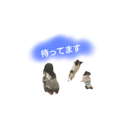 630471807