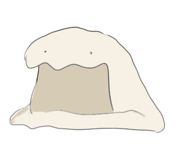 630501904