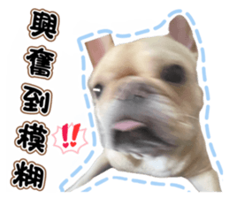 630558002