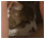 630558726
