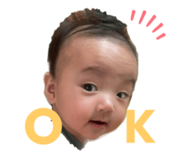 630726790