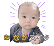 630736982