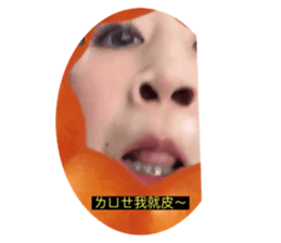 630744207