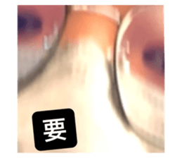 630745816