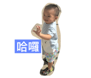630746523