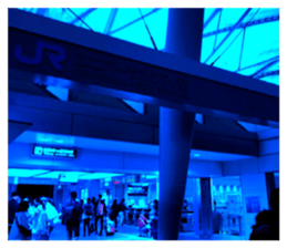 630771644