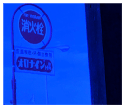 630771650