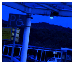 630771664