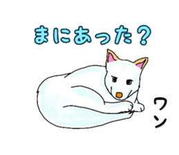 630822550