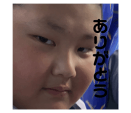 630838675