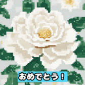 630854513