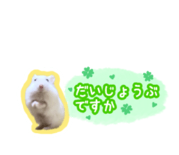 630948147
