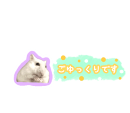 630948151