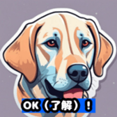 630949447