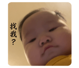 630986865