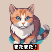 631016667