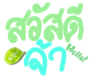 631050081