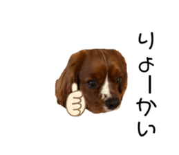 631085100