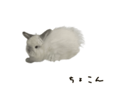 631100273