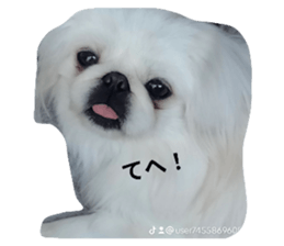 631112725