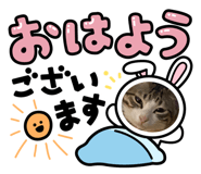 631151134