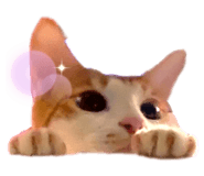 631151150