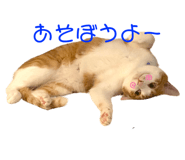 631151157