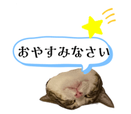 631151167