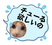 631151168