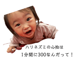 631166062
