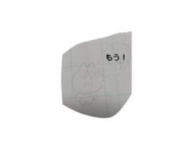 631177253