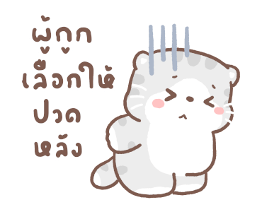 เหมียวขอดุ้กดิ้ก 3 รูปที่ 18