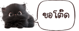 631220481