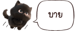 631220485