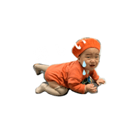 631235005