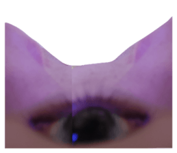 631250758
