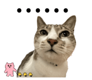 631296970