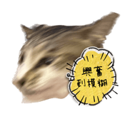 631296979