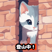 631312855