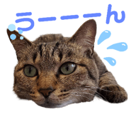 631348408