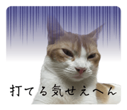 631380127