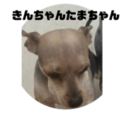 631389942