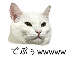 631406967